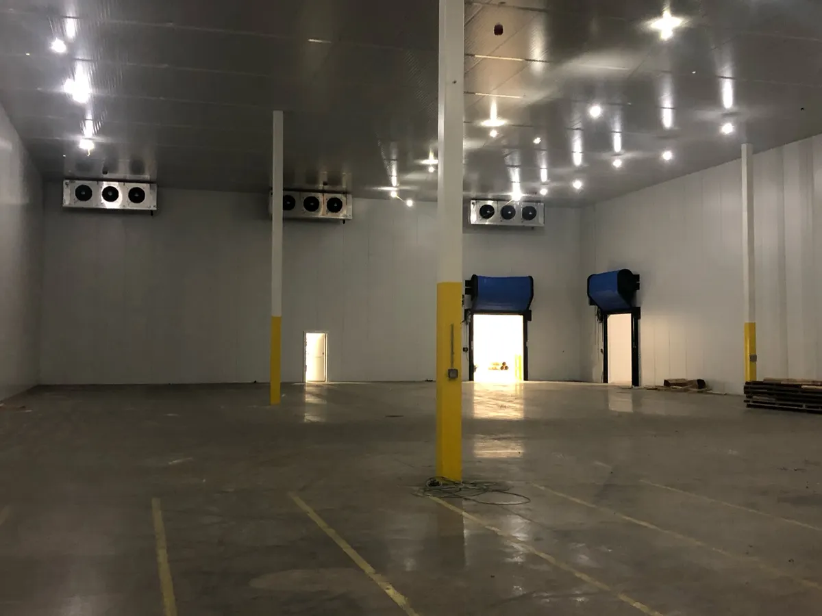 IDEXX Laboratories: photo 5