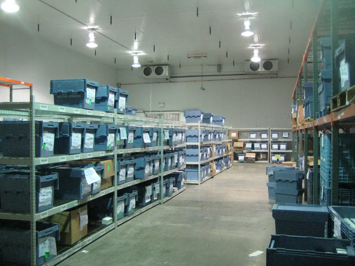 FedEx: photo 5