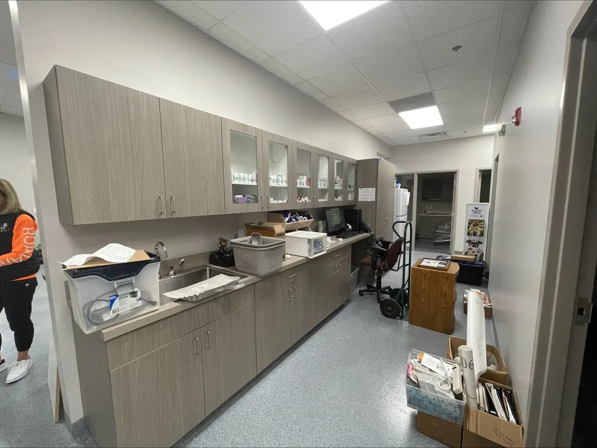 Southern Crossing Animal Hospital: photo 2