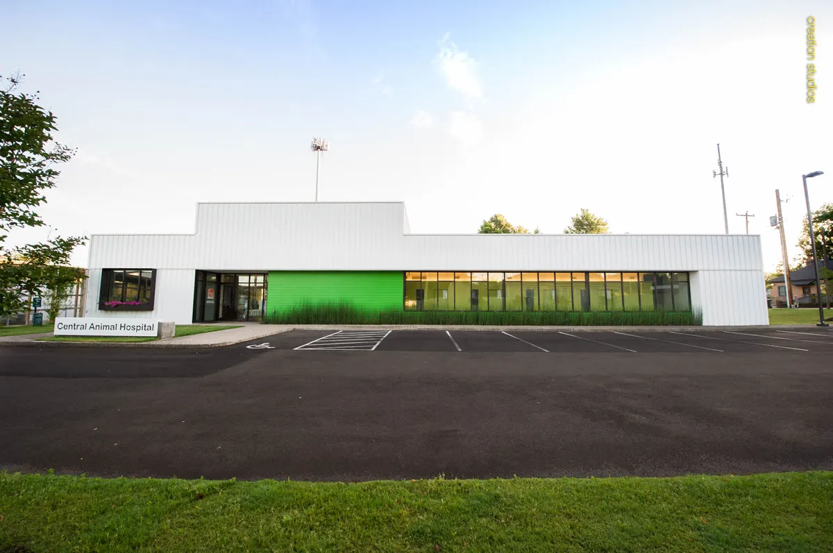 Central Animal Hospital: photo 1